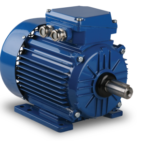 Electric Motors in all Range  1 HP   2 HP   5 HP  10 HP  20 HP  30 HP all made in India