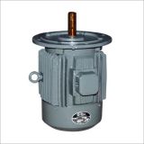 Flange Mounted Three Phase Electrical Motor, 1440 rpm  in Nepal